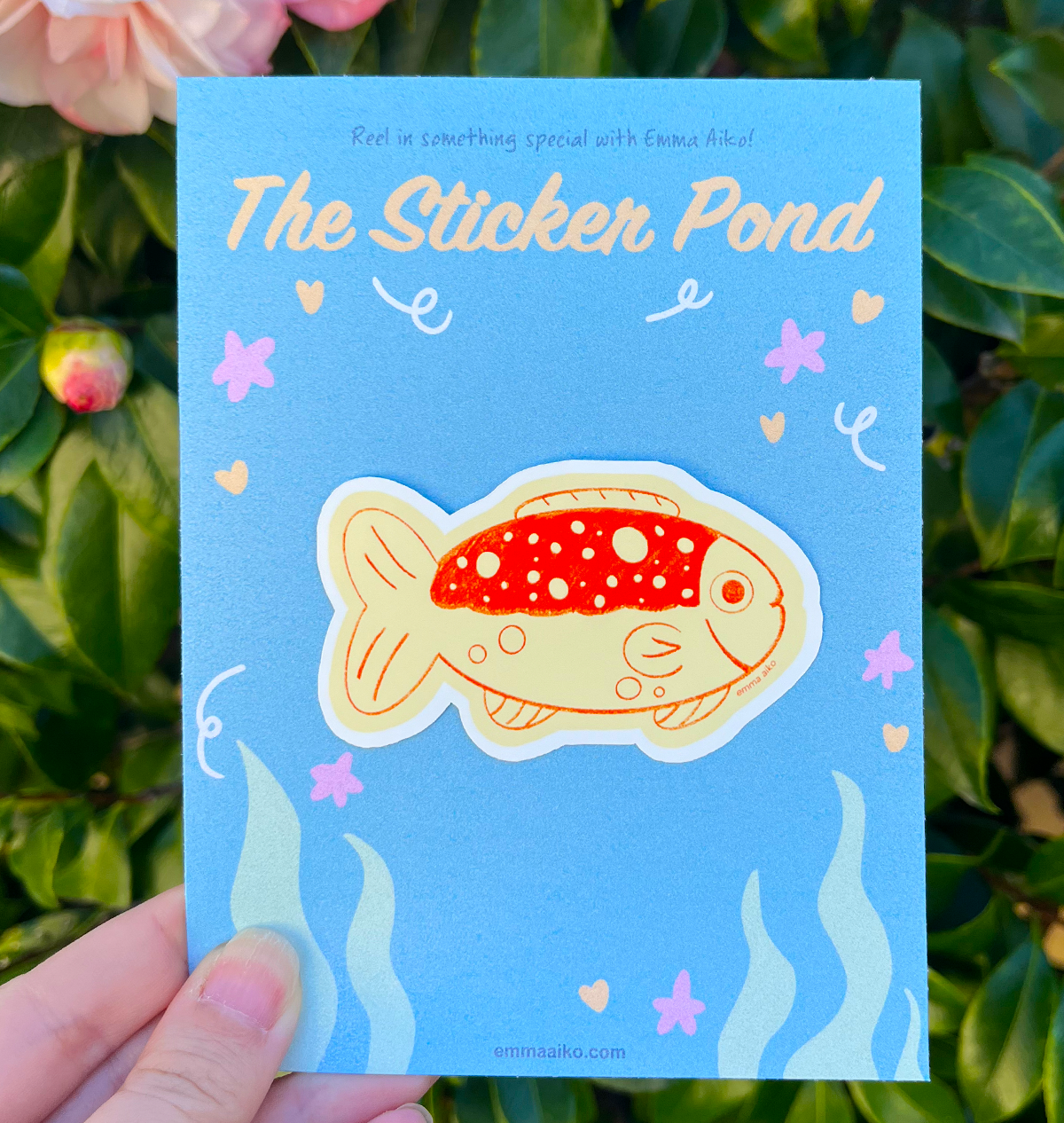 Sea Bass Sticker Pond